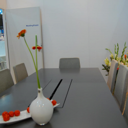 MWC 2013