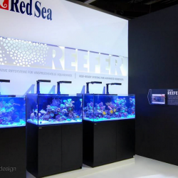 INTERZOO 2016